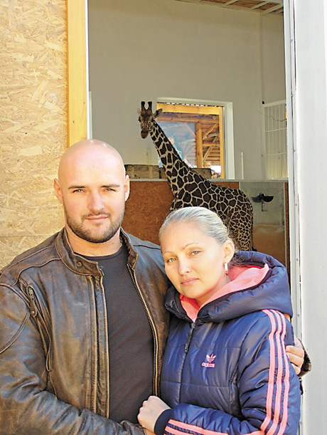 Переселенці з Авдіївки Ірина та Андрій Мазури навіть не підозрювали, що їхнім новим професійним покликанням стане турбота про жирафів. Фото надане автором